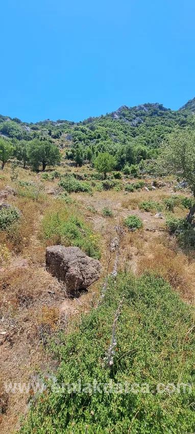 Marmaris Selimiye Dorf In einer für die Investition geeigneten 773 m2 großen verkaufsbaren Fläche Land