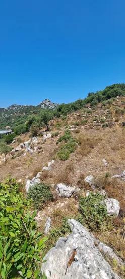 Marmaris Selimiye Dorf In einer für die Investition geeigneten 773 m2 großen verkaufsbaren Fläche Land