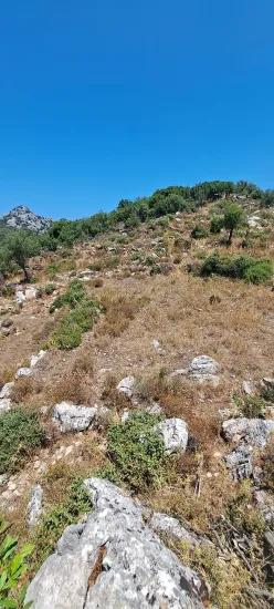 Marmaris Selimiye Dorf In einer für die Investition geeigneten 773 m2 großen verkaufsbaren Fläche Land