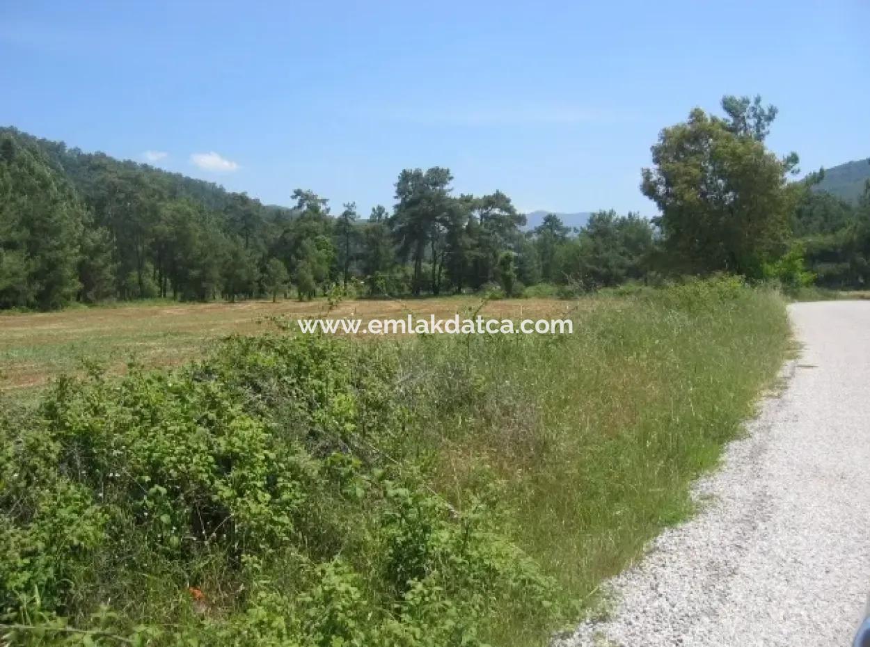 Dringend Für Verkauf Grundstück Im Dorf Von 25.000 M2 Verglaste Marmaris