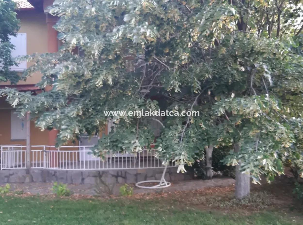 Manisa Präfektur Alasehir Bezirk 19000M2 Traubenfrierungsbetrieb Zum Dringenden Verkauf