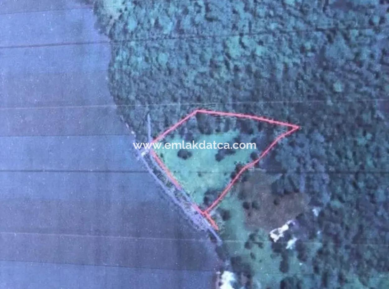 Das Land Zum Verkauf Von Marmaris In Der Nähe Des Meeres Grundstück Hotels, Marina, Yacht Club Land 4000 M2