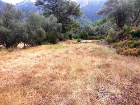 Orhaniye Marmaris Stadtteil Bezirk Ackerland Zum Verkauf, 400 M2