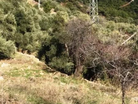 Grundstück Zu Verkaufen Mit Meerblick Mit 52000M2 Parzelle In Mugla Provinz Datca Bezirk Masoudye Nachbarschaft