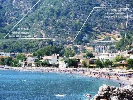 20000M2 Grundstück Mit Meerblick Zum Verkauf Gezonten 18 Km Von Marmaris