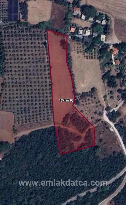 Marmaris Pine village In my village Is very close to the sea 7000m2 land suitable for Investment