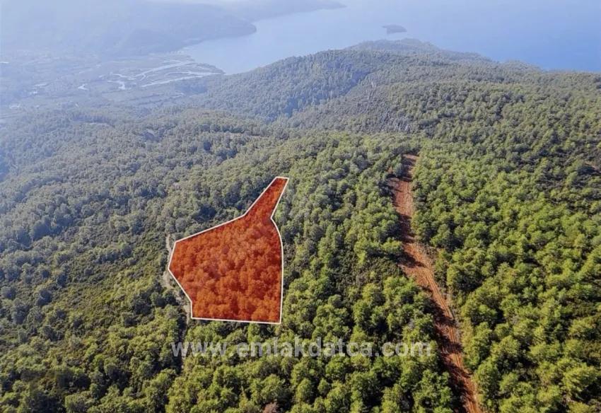 In Marmaris Çetibelinde within the forest 13,500 m2 Private usage area