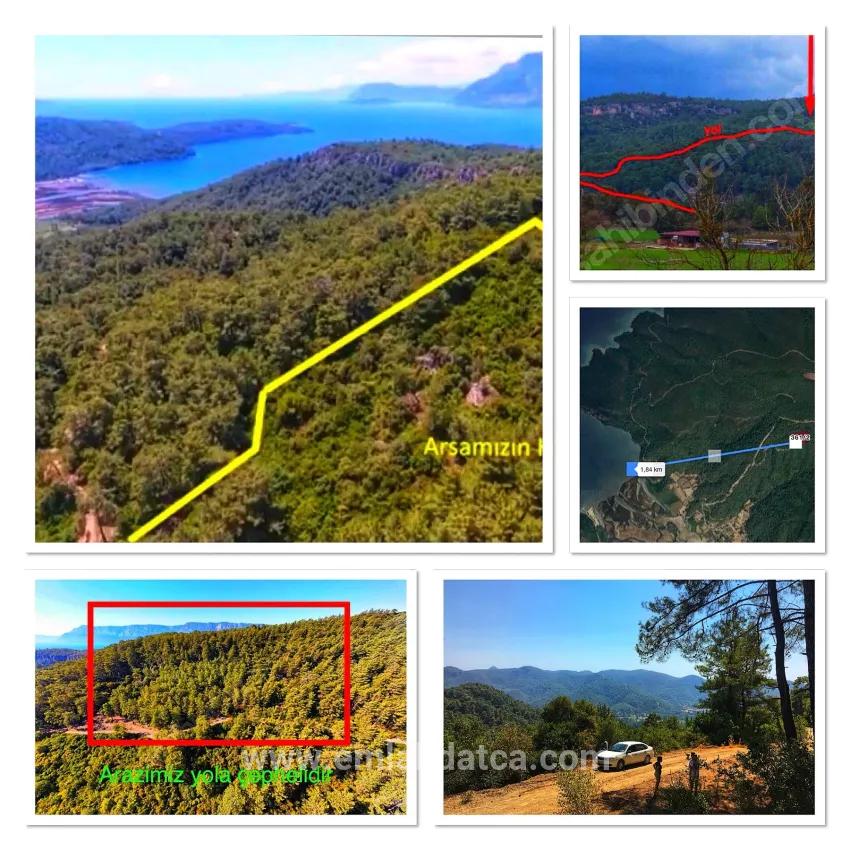 In Marmaris Çetibelinde within the forest 13,500 m2 Private usage area