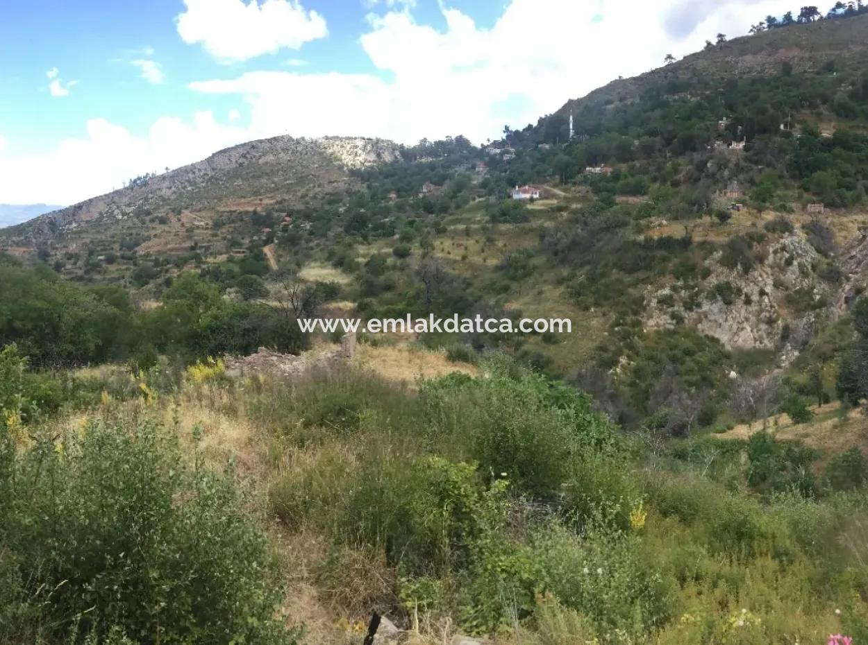 Akbuk, Mugla Province, County And Neighborhood Of The House In A Plot Of 3500 M2 In Zeytinkoy 2 Current Land Plot For Sale
