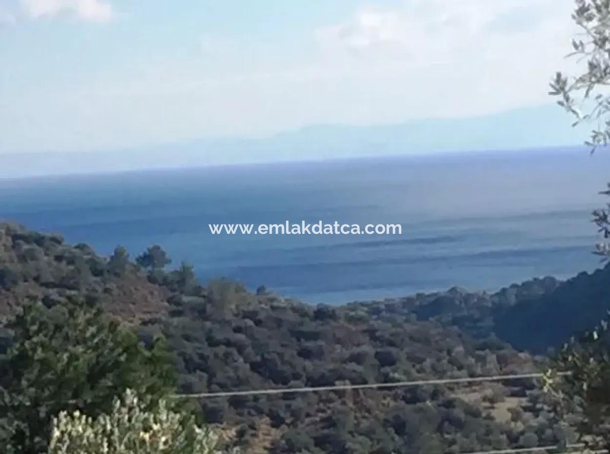 Land For Sale With Sea View With 52000M2 Parcel In Mugla Province Datca District Masoudye Neighborhood