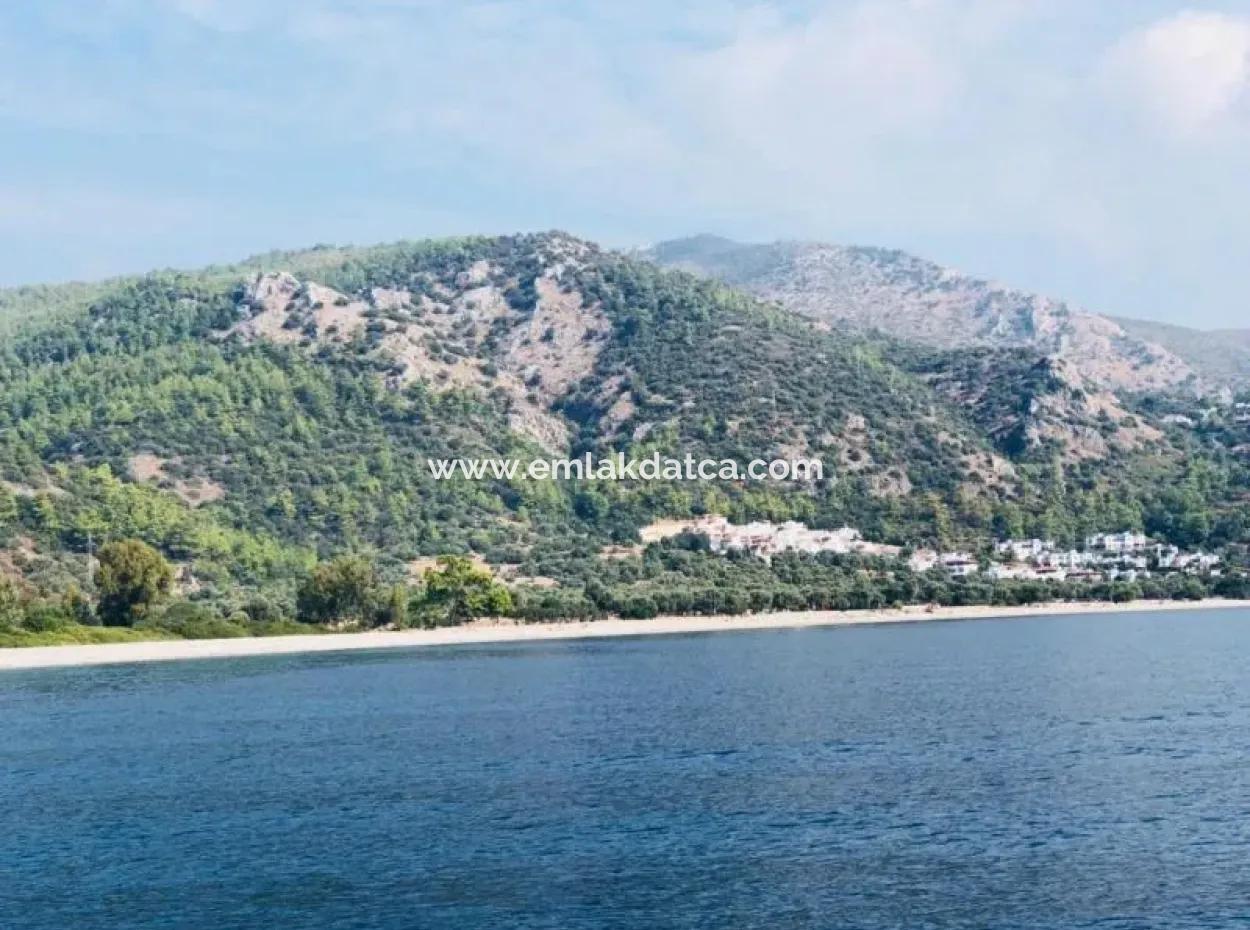 4400 M2 Land For Sale Suitable For The Construction Of 19 Catalyst Deeds In Milas Bozalan