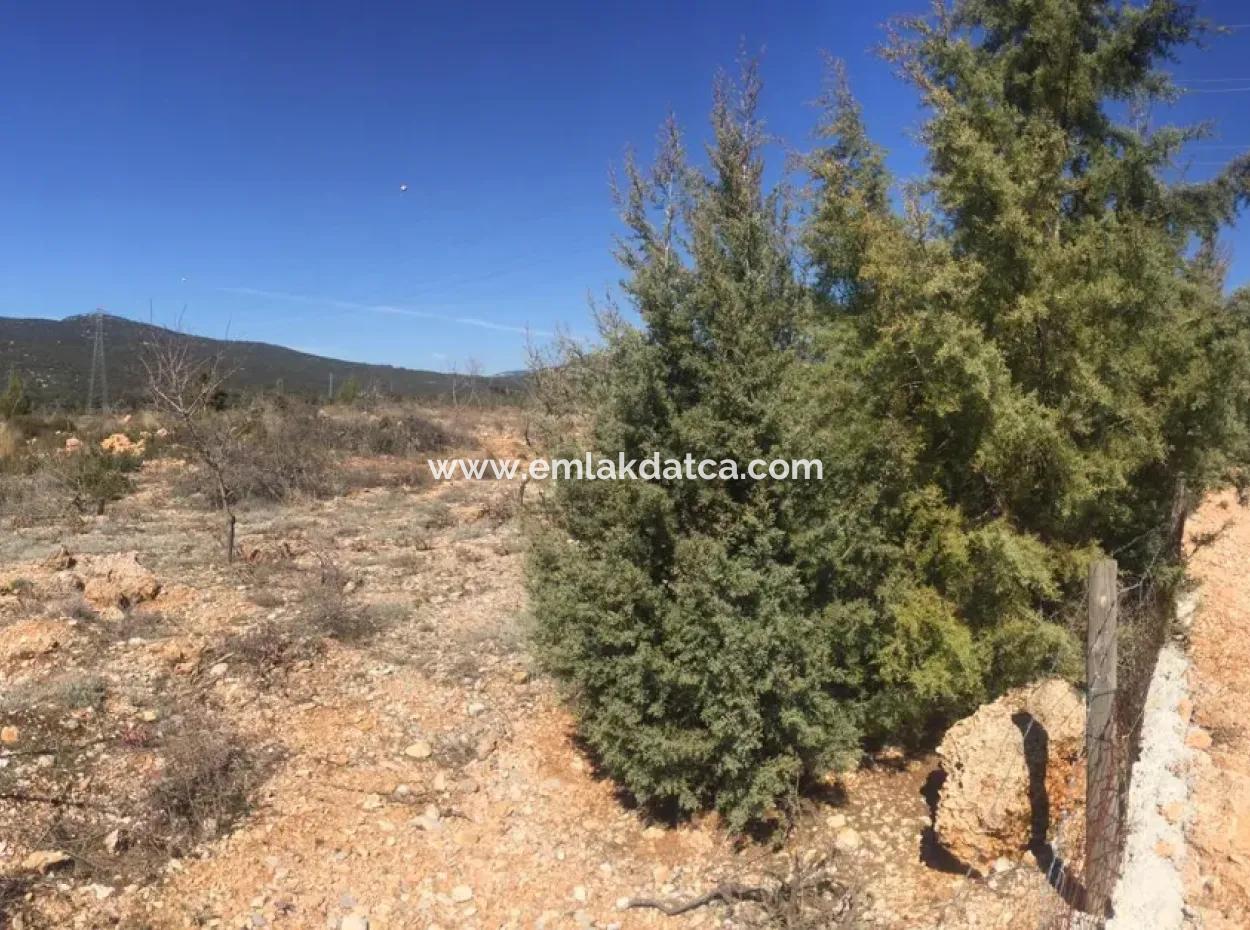 The 200000M2 Almond Garden Is For Sale In The Center Of Mugla.