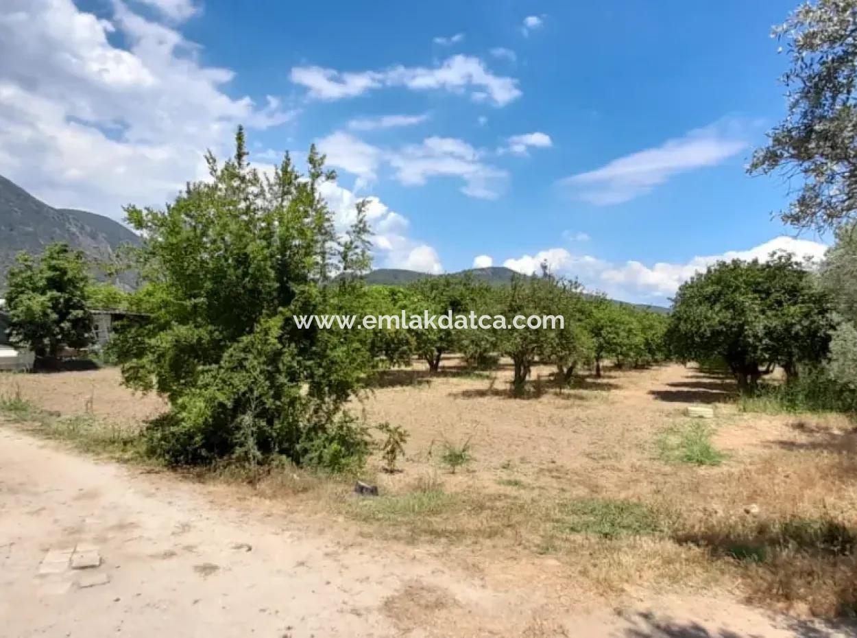 13000M2 Farmhouse Suitable To Be A Boutique Hotel 3 Km From Akyaka Center Gökkova Kitesurfe 1 Km Away