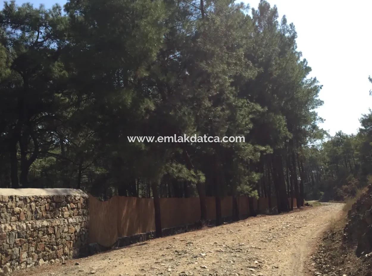 Land For Sale Suitable For Bungalow Hotel In 7500M2 Plot In Bördübet Bay