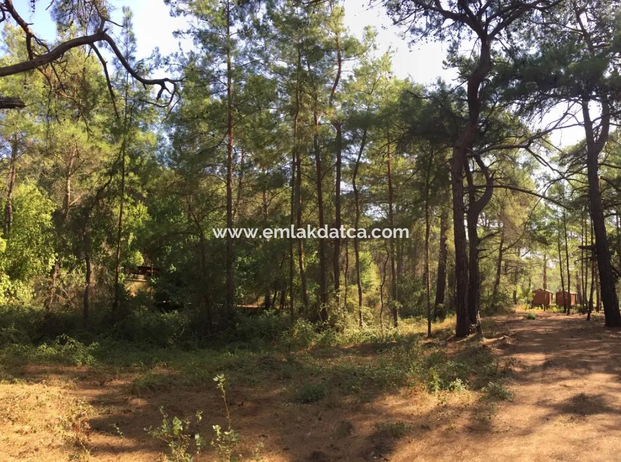 Land For Sale Suitable For Bungalow Hotel In 7500M2 Plot In Bördübet Bay