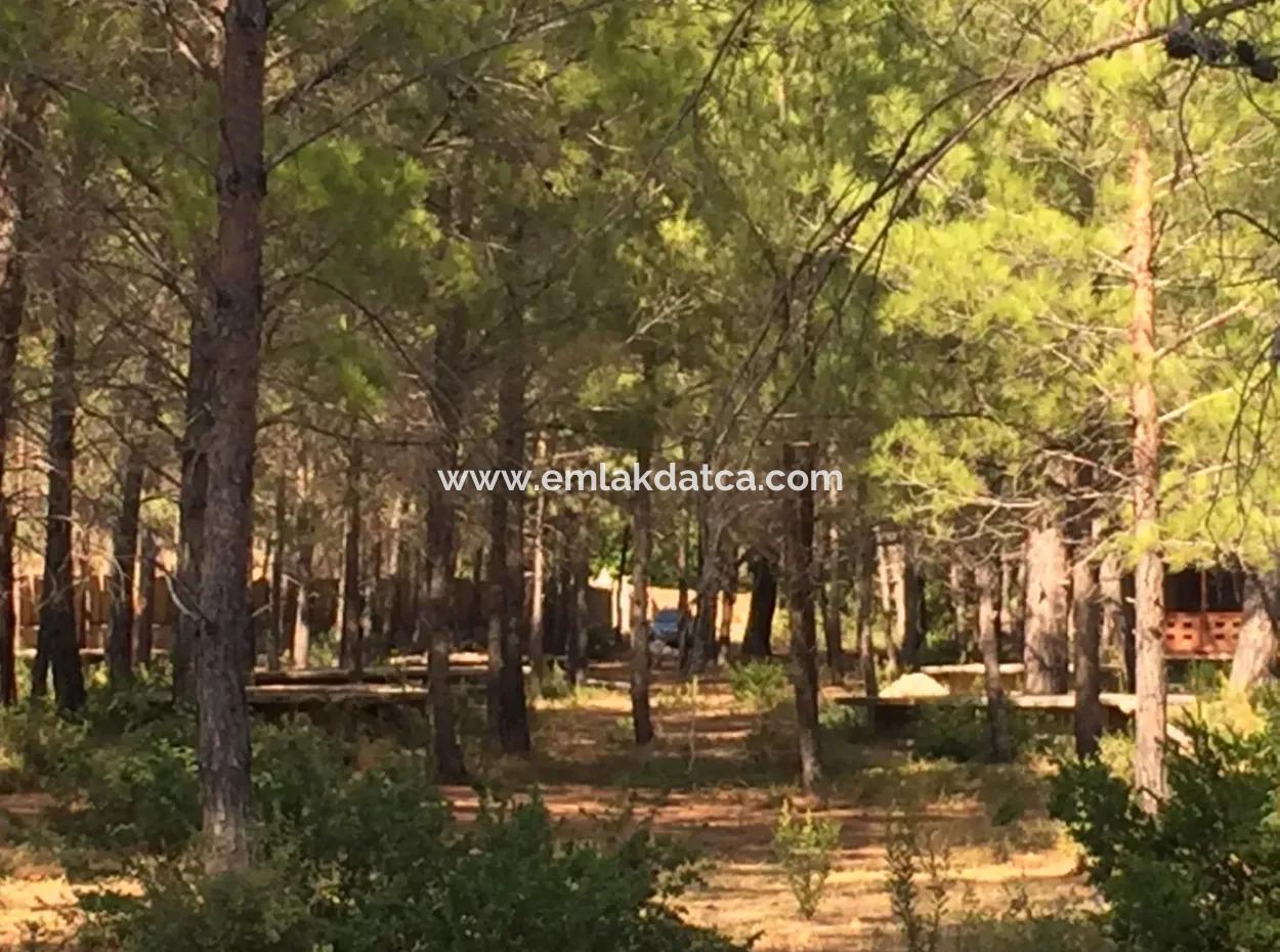 Land For Sale Suitable For Bungalow Hotel In 7500M2 Plot In Bördübet Bay