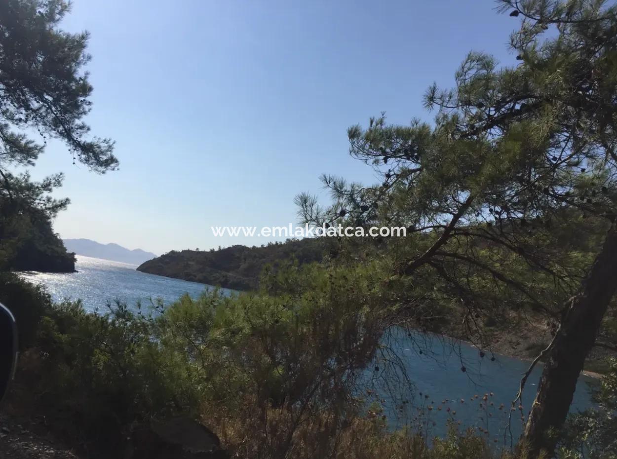 Land For Sale Suitable For Bungalow Hotel In 7500M2 Plot In Bördübet Bay