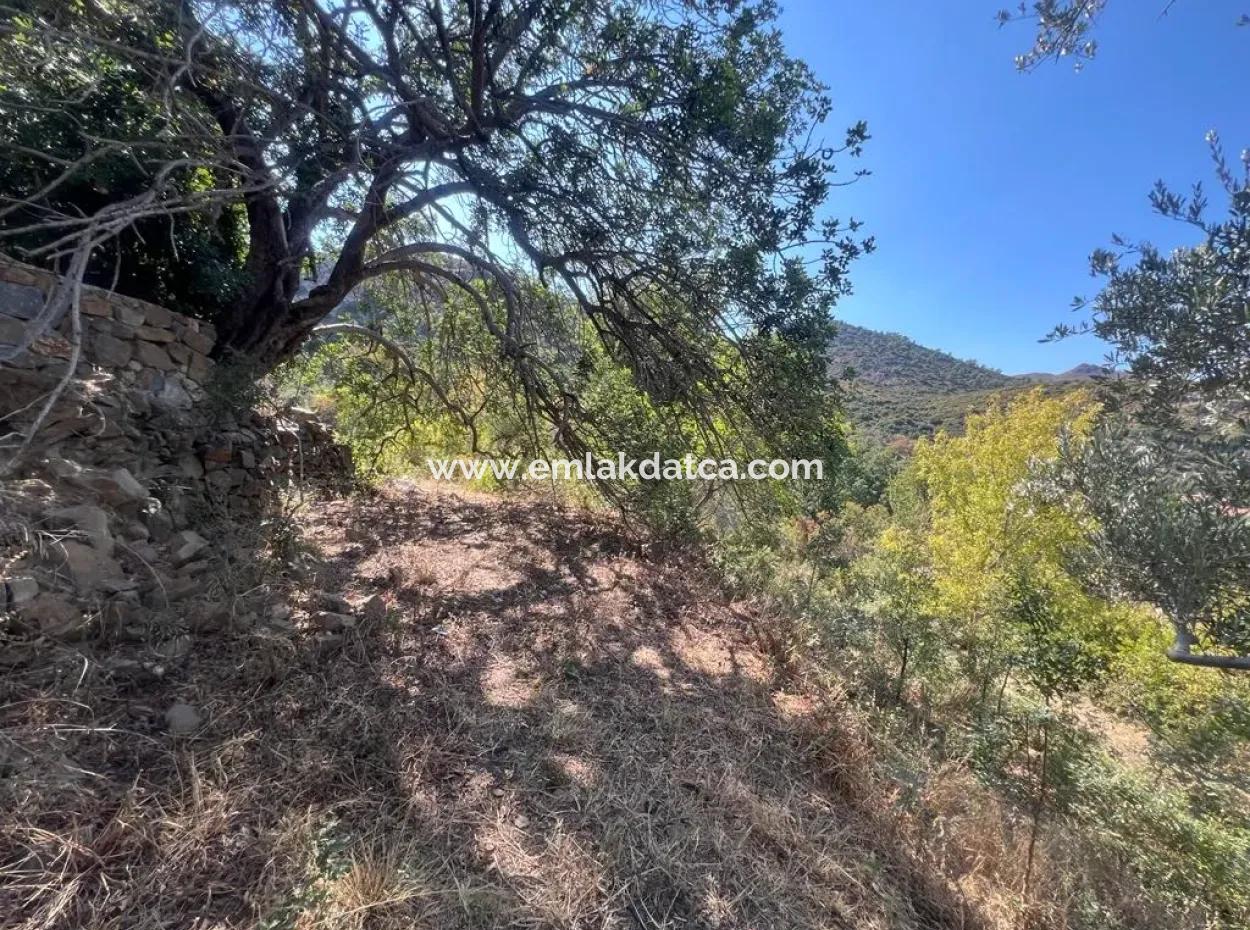 Land For Sale In Marmaris Selimiye Neighborhood With Sea View 5200M2 Suitable For The Construction Of 2 Villas Or Hotel Construction