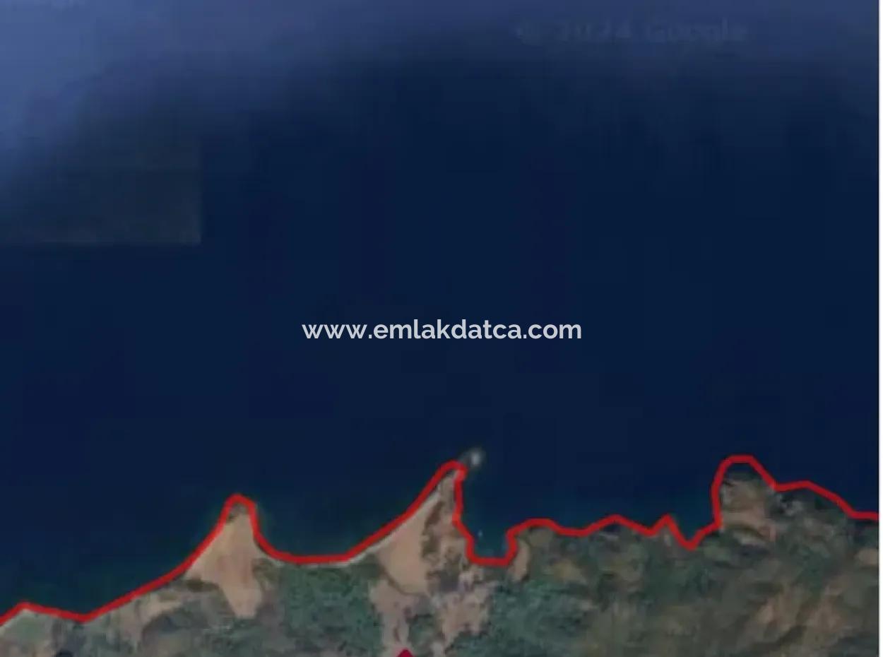 Land For Sale In Avlana Neighborhood Of Datca District Close To The Sea Of 5200M2 Suitable For Investment