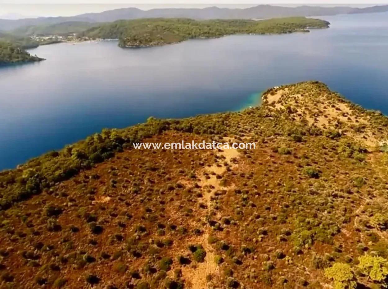 The Island For Sale In The Gulf Of Gökova In Marmaris District Has A Land Area Of 365000M2 And There Is A Registered House In It.