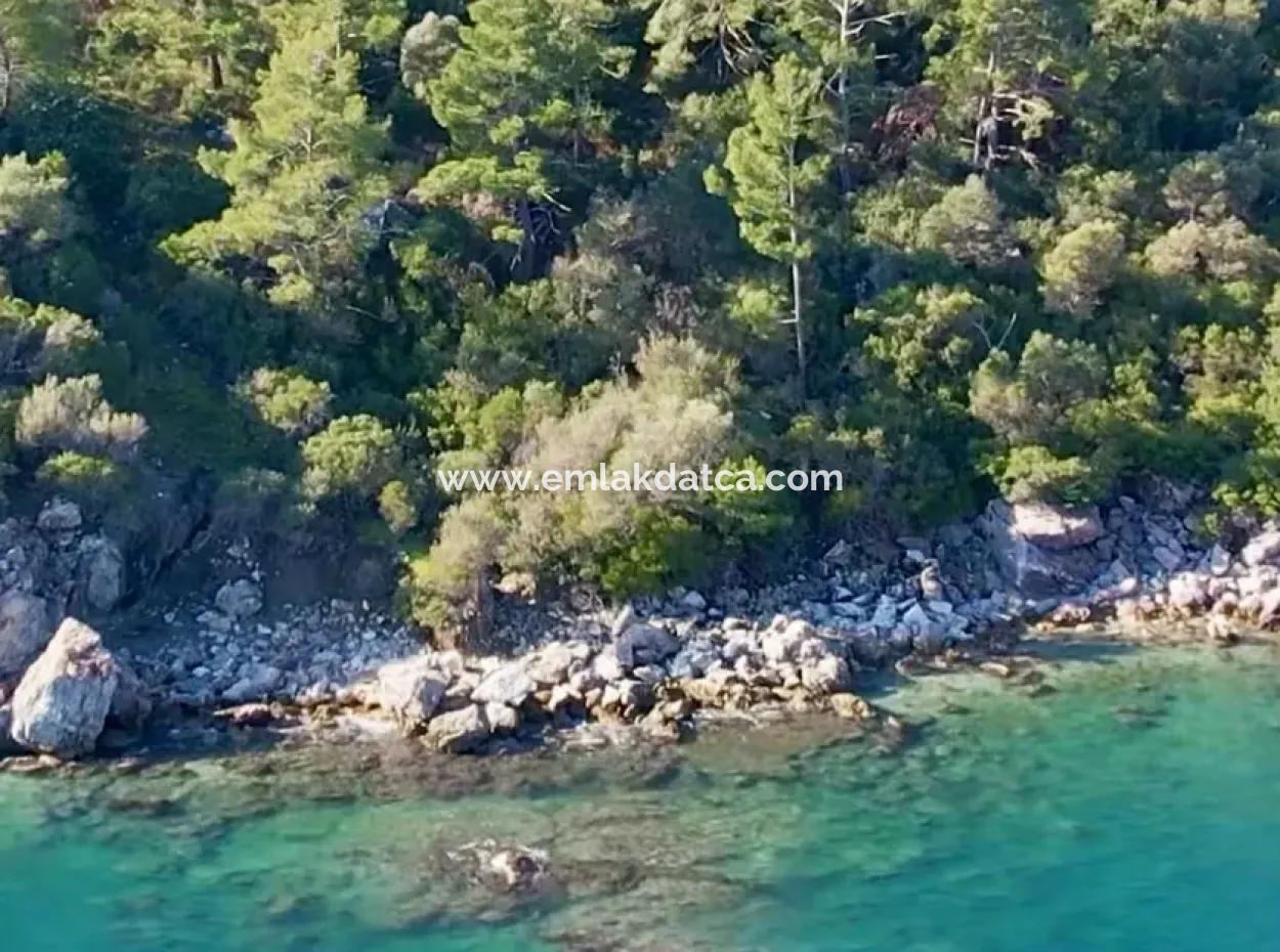 Marmaris District Turunc Neighborhood Seaside 2354M2 Land For Sale