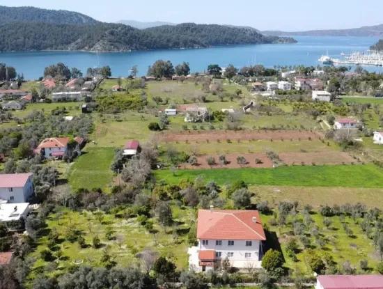 Farmhouse Among Olive Groves With 10 Rooms In A Plot Of 3700M2 Close To The Sea In The Orhaniye Neighborhood Of Marmaris From The Real Estate Agent