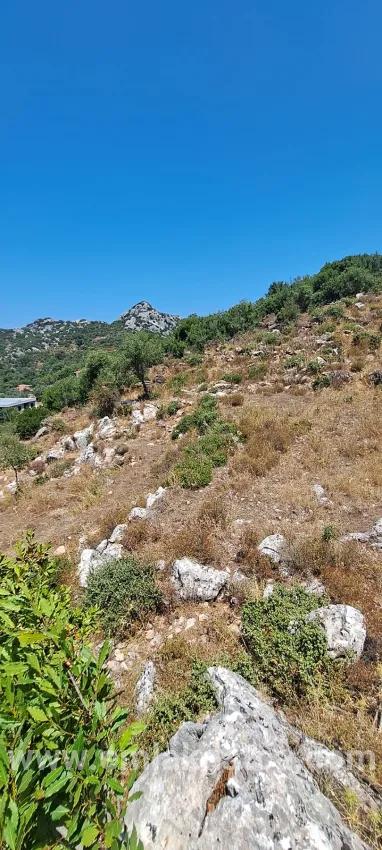 Для продажи Поле в Selimiye Marmaris - Под Поле застройку - 773 m²