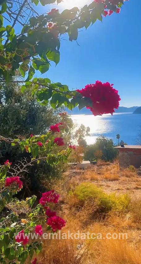 Для продажи Полное здание 7+3 в Söğüt Marmaris - 756 m²
