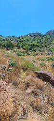 Для продажи Поле в Selimiye Marmaris - Под Поле застройку - 773 m²