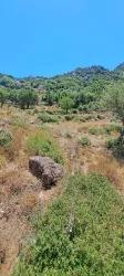 Для продажи Поле в Selimiye Marmaris - Под Поле застройку - 773 m²