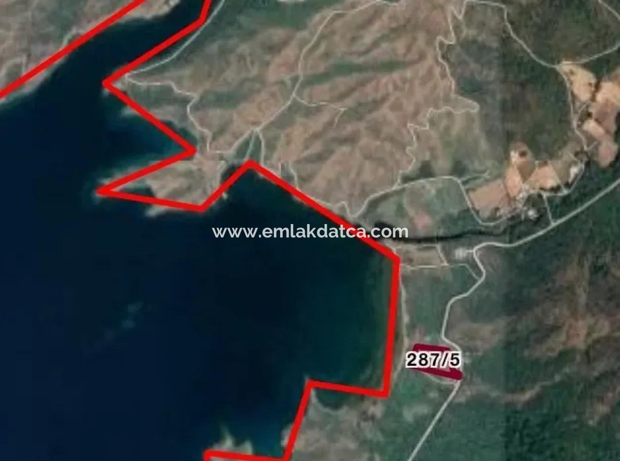 Marmaris Bördübet Koyunda Denize Sıfır Kitesurf Alanı 13000M2 Arsamız Satılıktır.