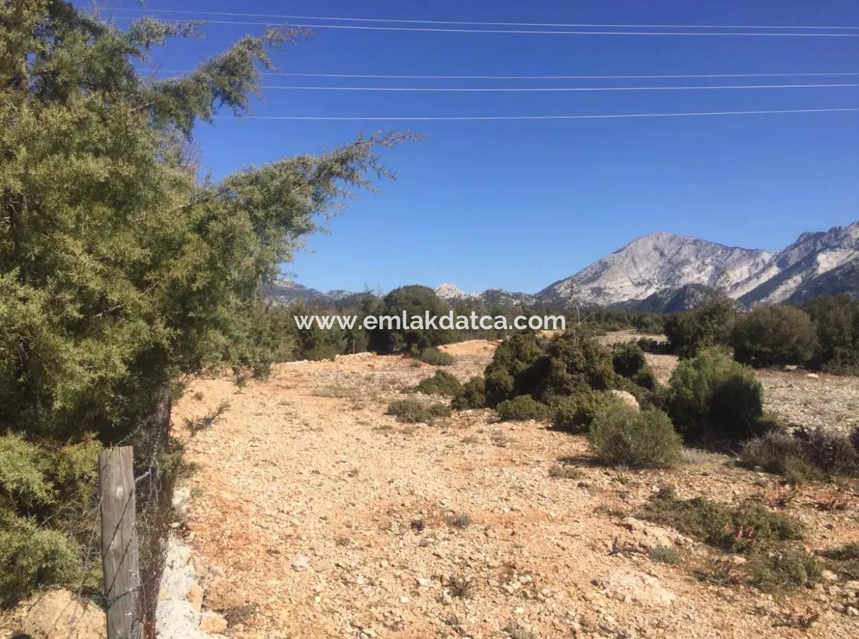 Muğla Merkezinde 200000M2 Badem Bahçesi Satılıktır.