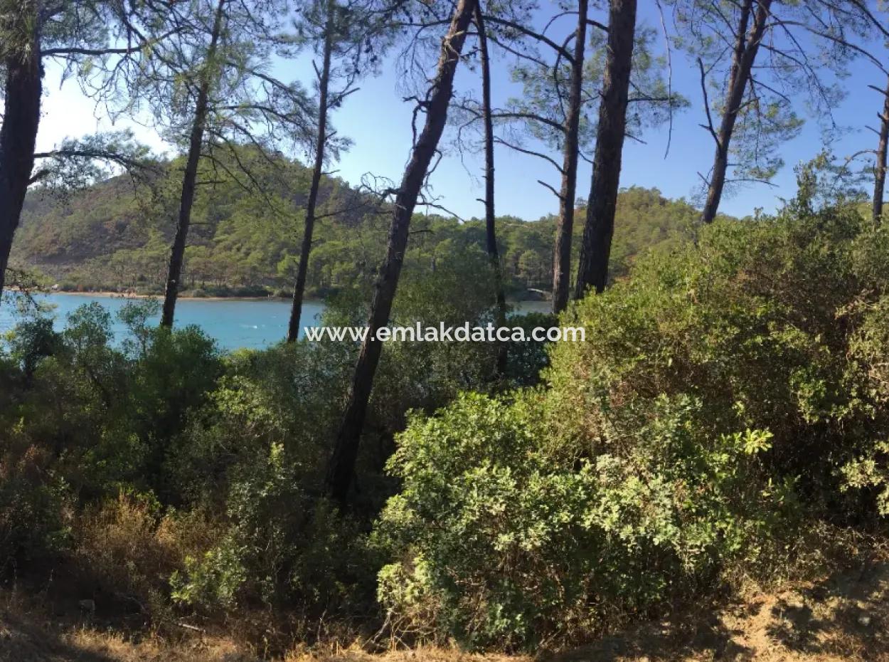 Bördübet Koyunda 7500M2 Arsa İçerisinde Bungalow Otel İçin Uygun Satılık Arsa