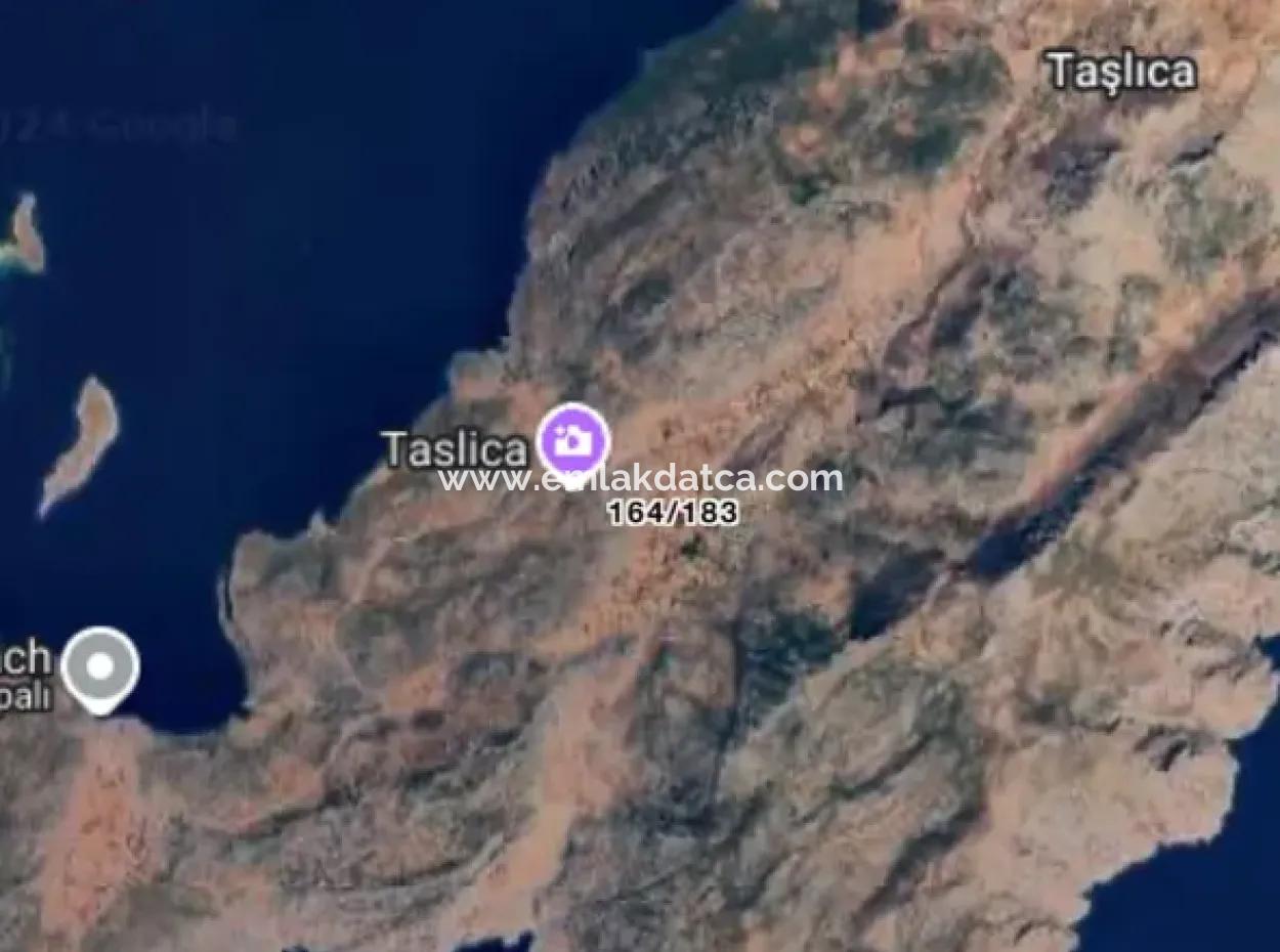 Marmaris Söğüt Köyünde Satılık Denize Yürüme Mesafesinde 350M2 Tarla