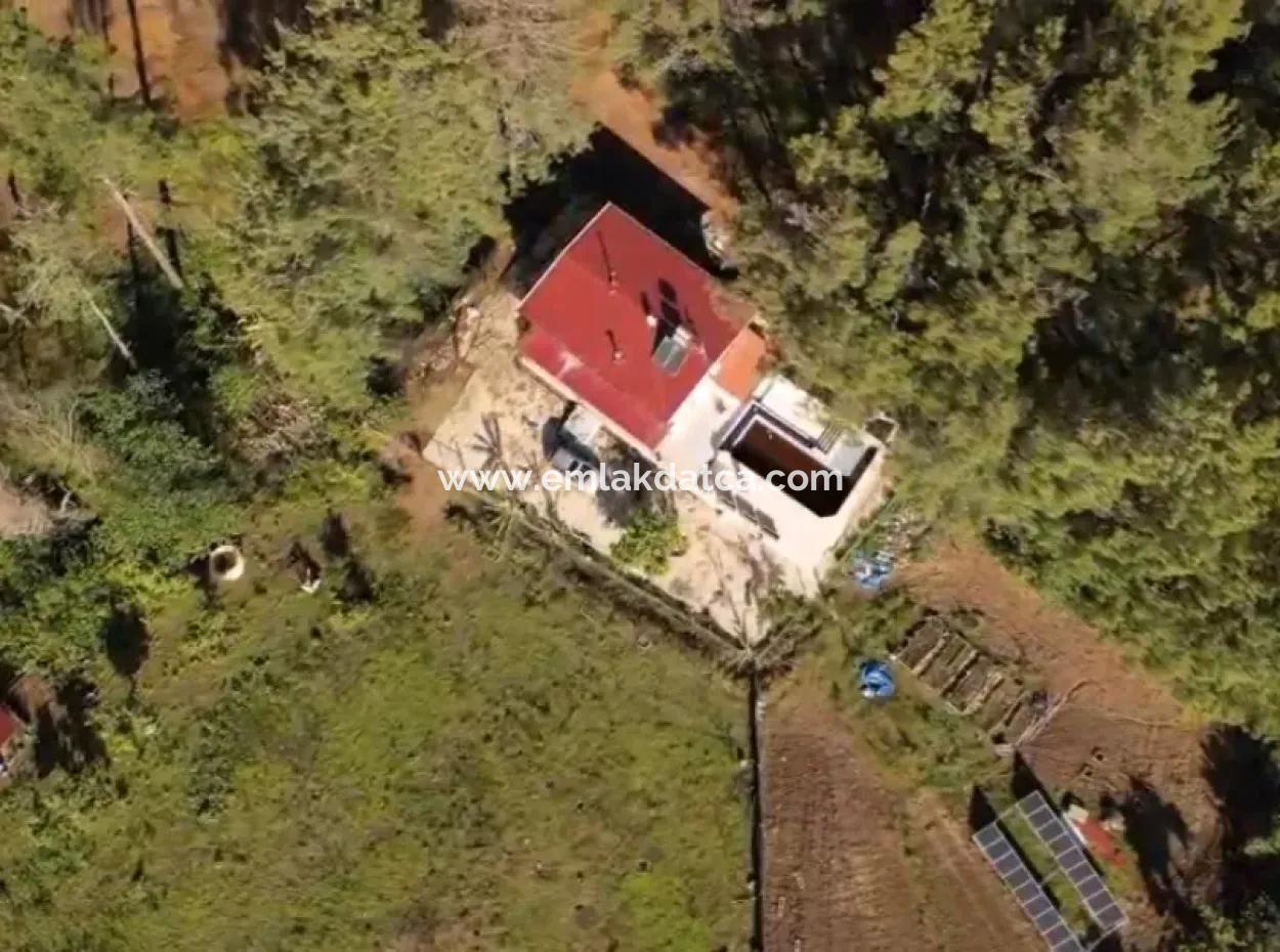 Ortaca Mahallesi Satılık 10.000 M2 İçerisinde Özel Yapım Havuzlu Çiftlik Evi