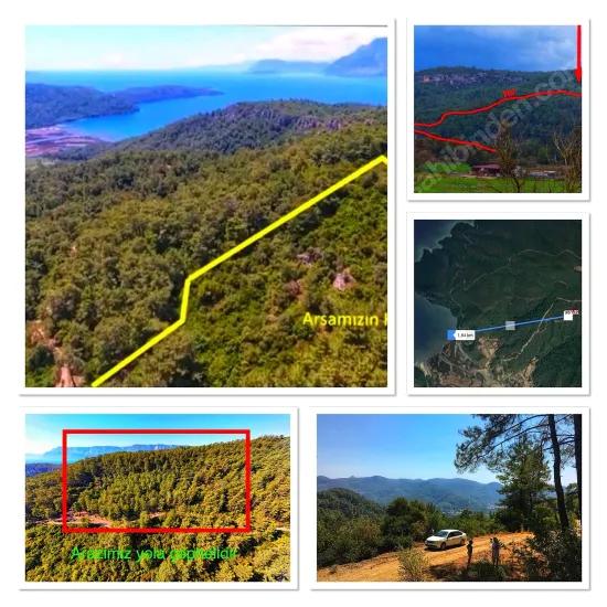 Marmaris Çetibelinde Orman İçerisinde 13.500 M2 Özel Kullanım Alanı
